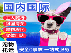 扎兰屯机场快运国际宠物托运 【国